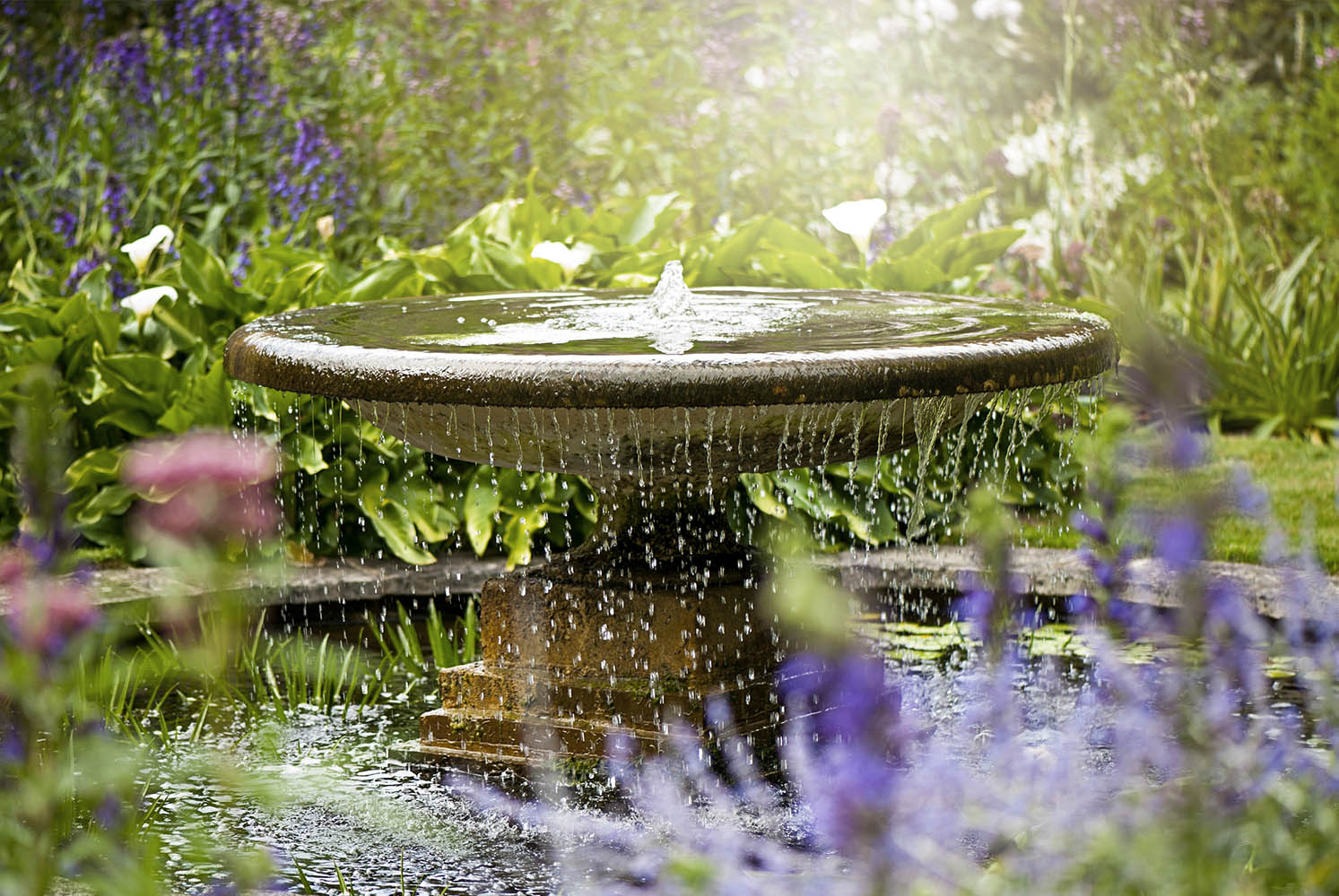 社区公园水景规划