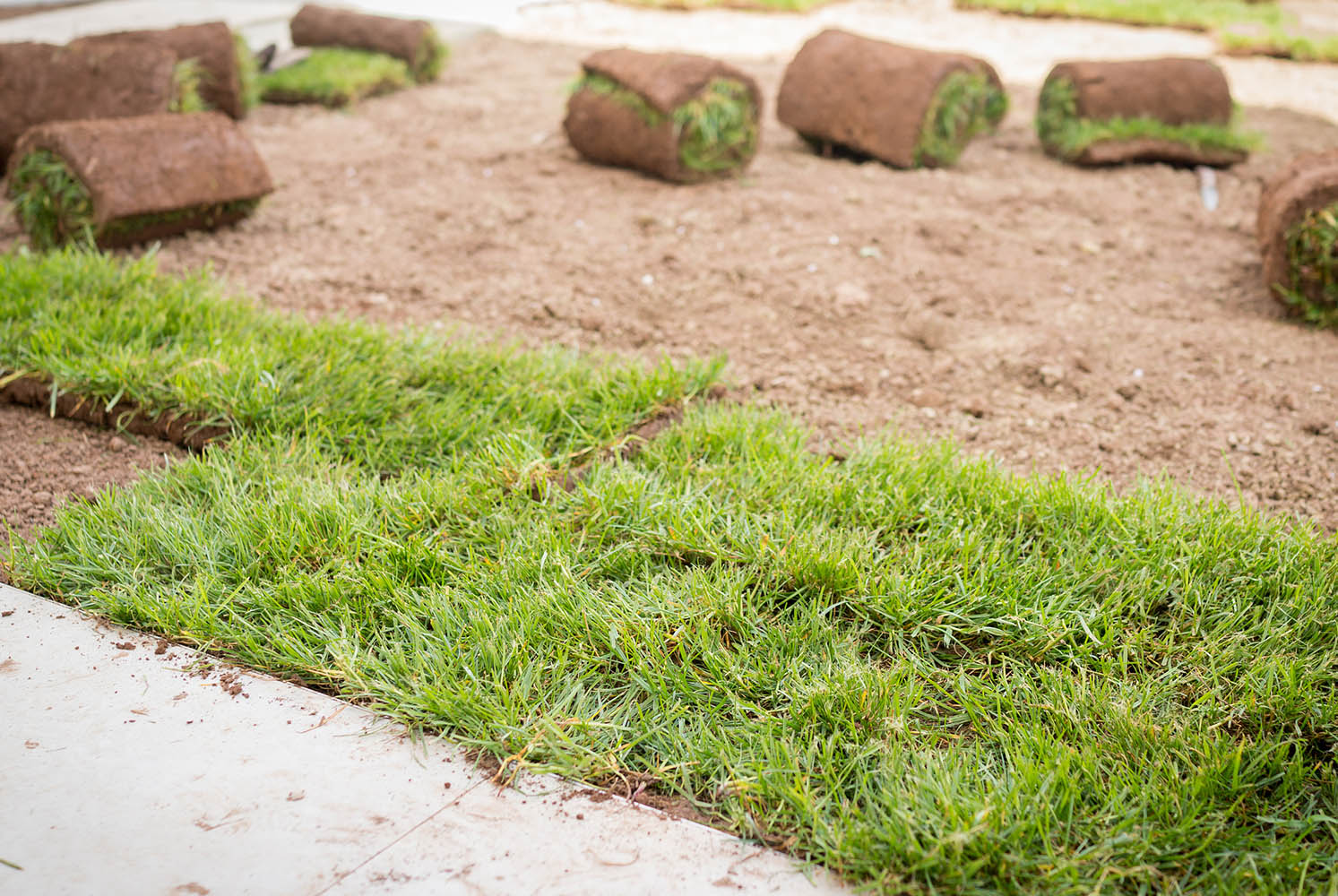 社区公园绿化规划