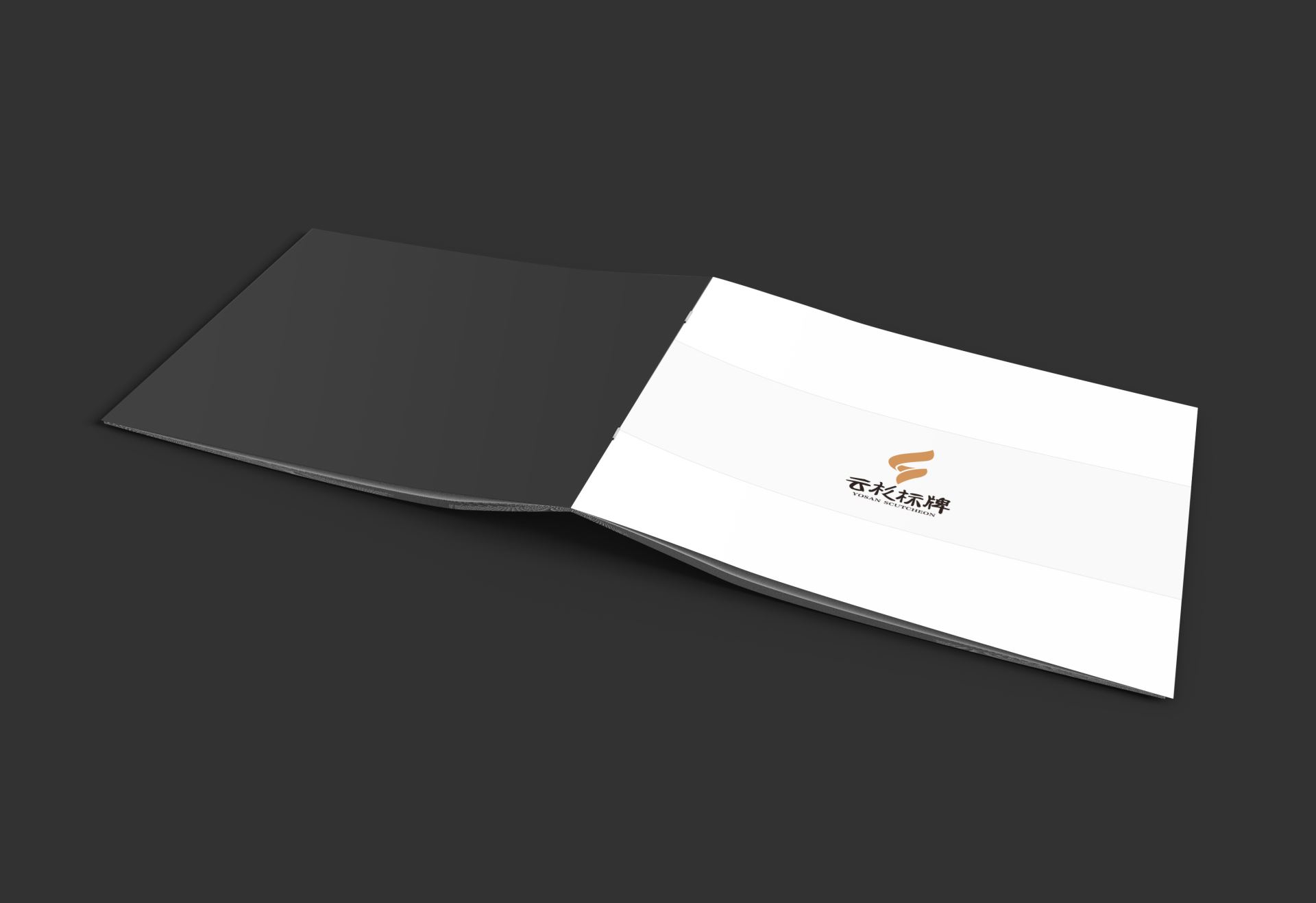 VI视觉设计-画册