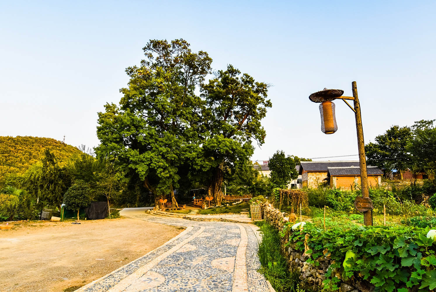 美丽乡村乡村小路设计